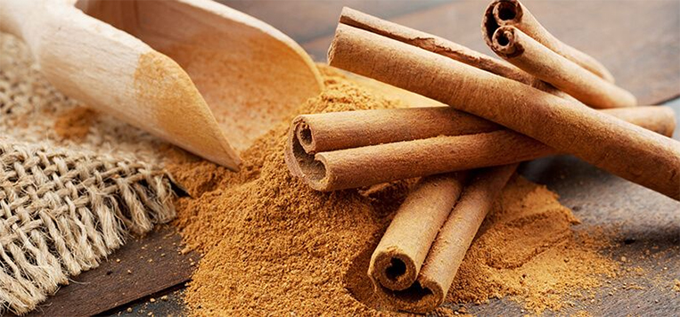 Quế là nguyên liệu chính để sản xuất nhang sạch hương quế